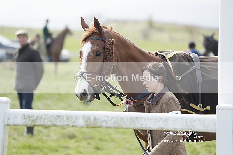 PtP 260323 0856 - New Forest Hounds Point-to-Point Larkhill 26/03/23