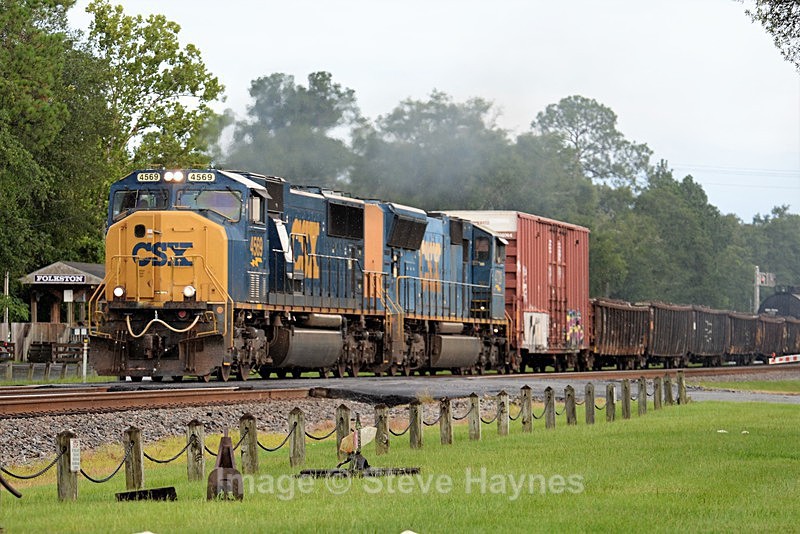 8th Aug 2017 - Folkston Funnel, GA