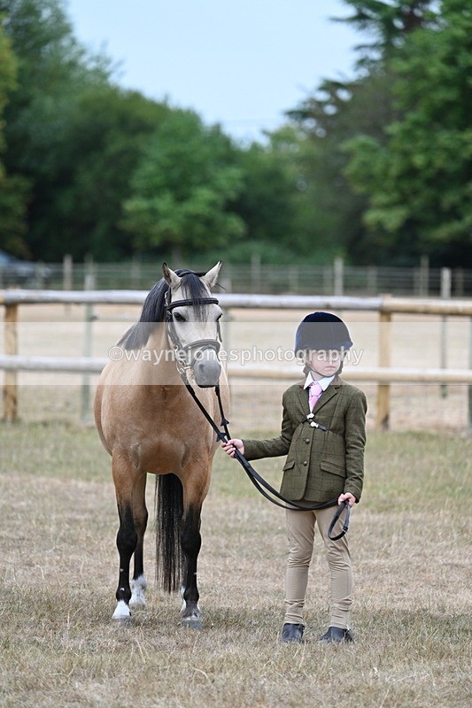 WJ7_9665 - Class 5 Most Handsome Gelding (up to 14.2hh)