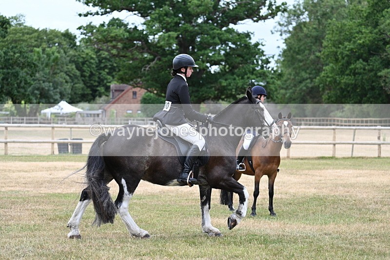 WJ7_0333 - Class 2 Best rider