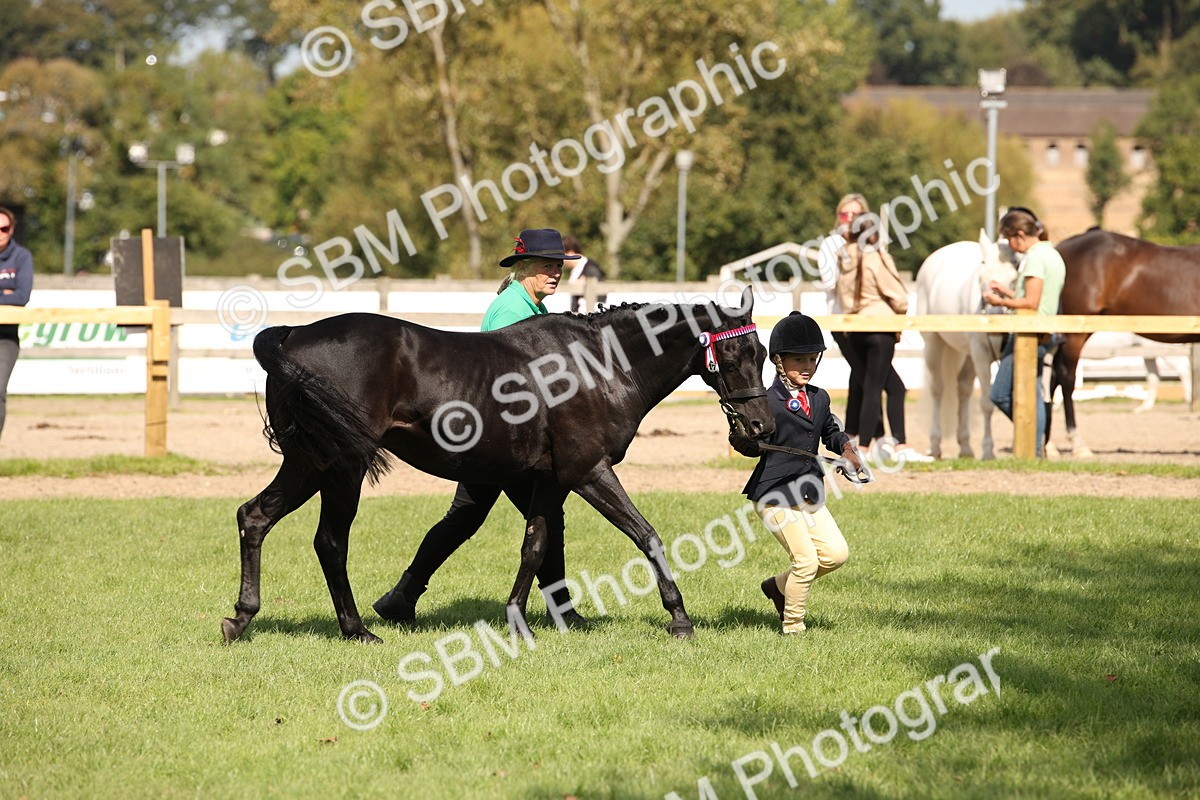 SBM_44457 - S24 - Young Veteran in hand