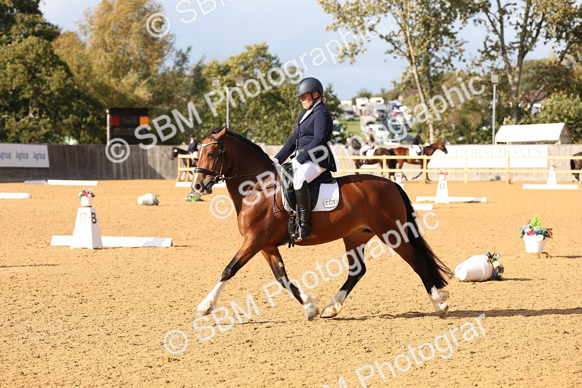 SBM_27006 - D17 - Grand Tour Championship Novice 3