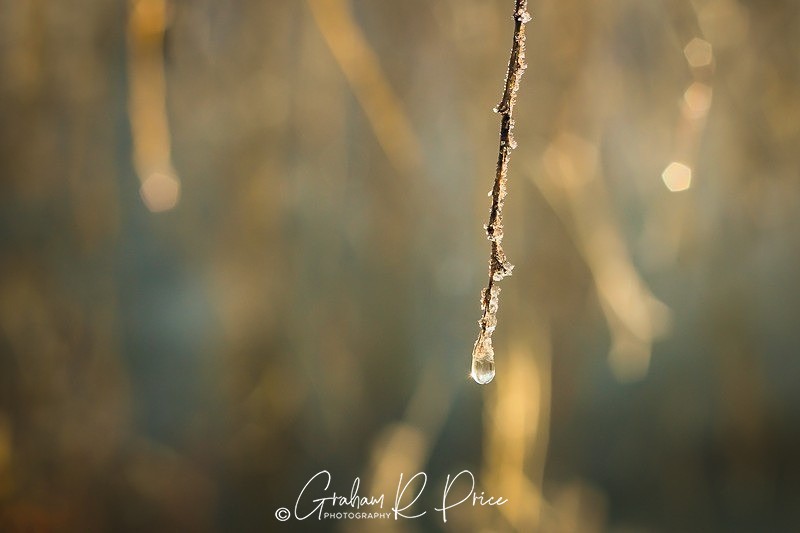 IMG_0007 - Our Natural World