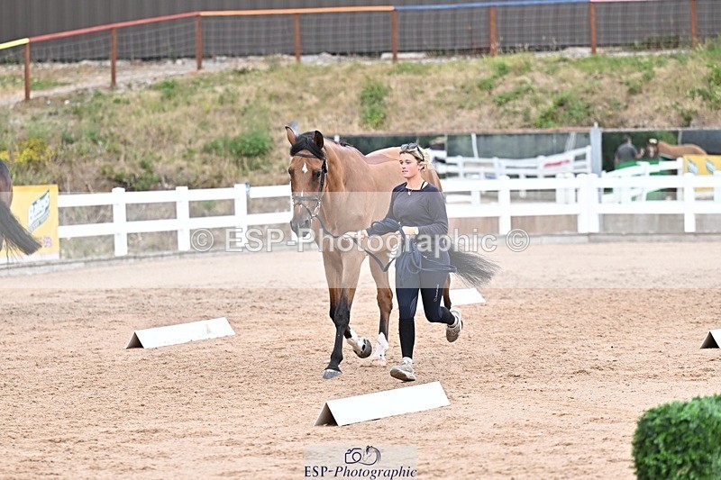 250716-164203-00746 - Trot Up 4.30 to 5.00