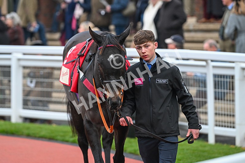 151124-Race 4-Paddock-Back On The Lash-8072 - Race 4