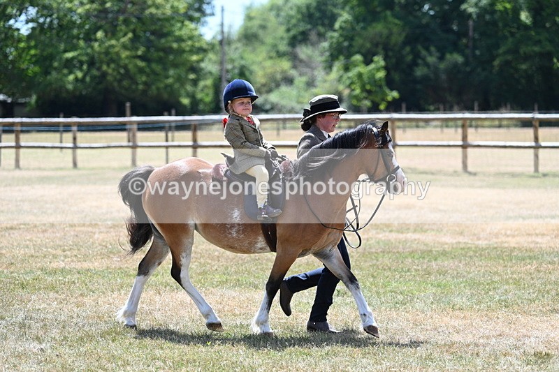 WJ7_2676 - Class 6 Ridden Mountain and Moorland