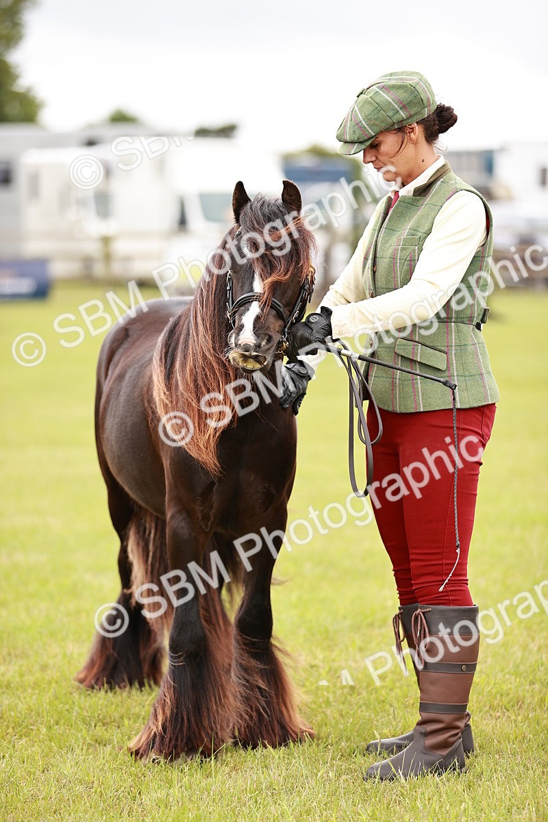 SBM_05999 - Class 39-41 TGCA In Hand and Ridden