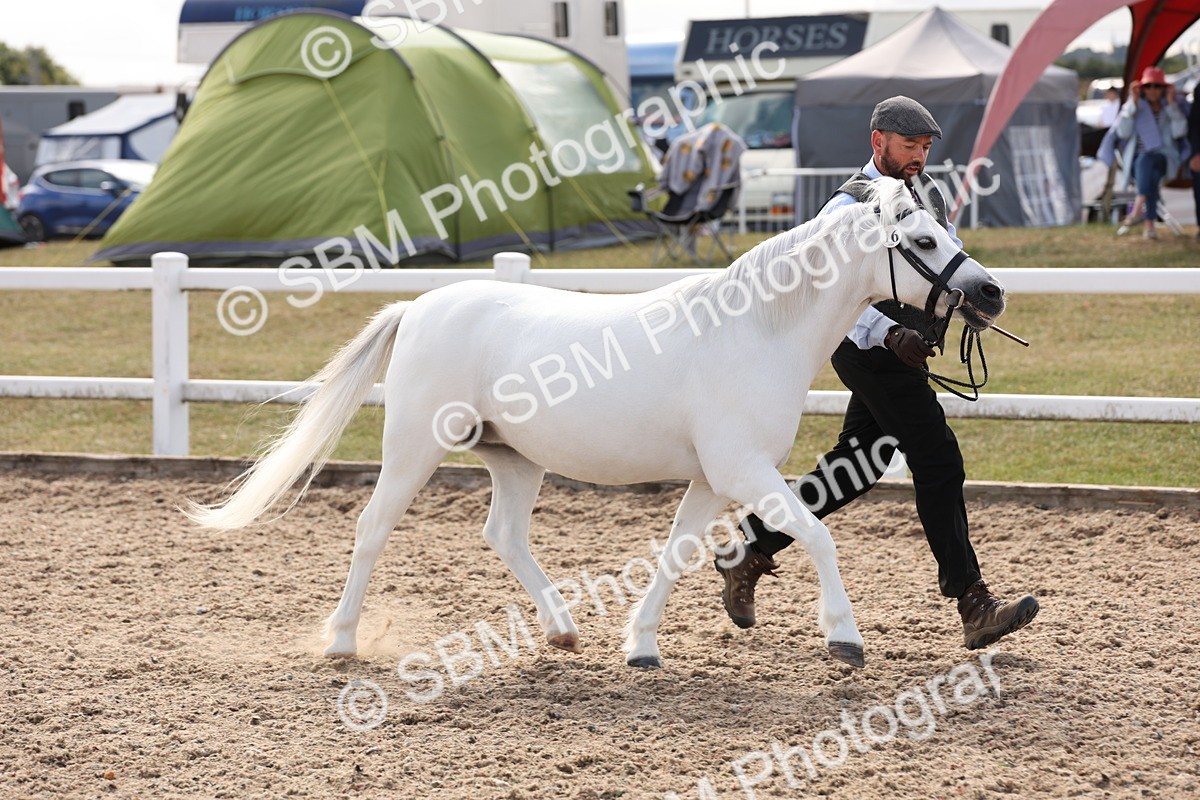 SBM_15045 - Class 209 - IH Veteran Pony
