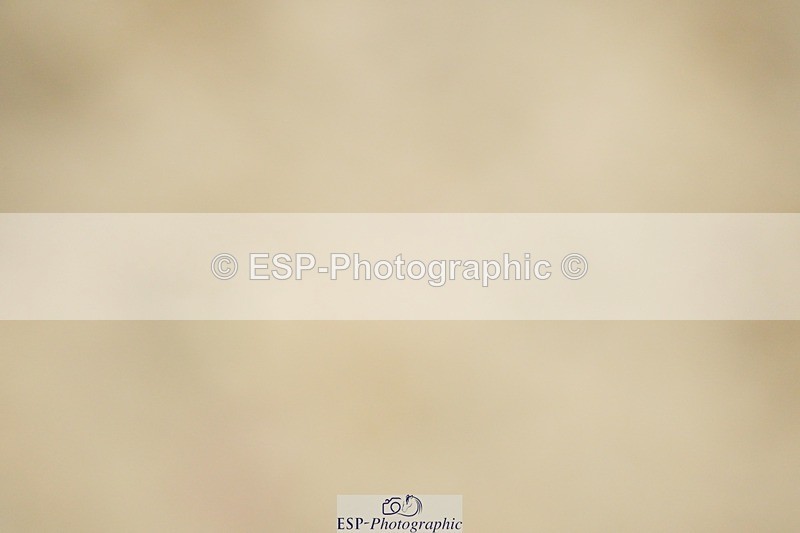 240309-150148-01374 - Cls 03 AE 90cm