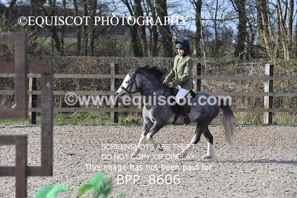 BPP_8606 - TRAINING STAKES