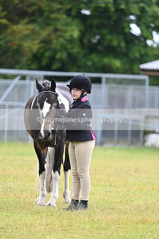 WJ7_5875 - Class 4 Prettiest Mare in Hand
