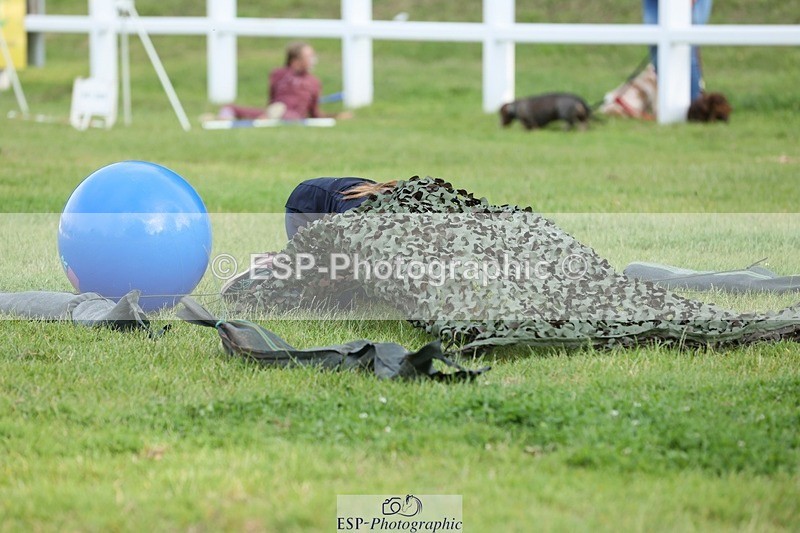 240711-191634-29753 - Cls 210 Jolly Jumps Run and Run