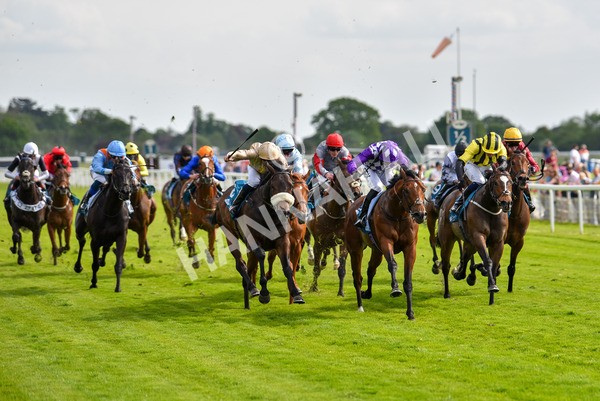 170523-Race 5-Dark Thirty-8874 - Race 5 4.10pm Conundrum HR Consulting Handicap