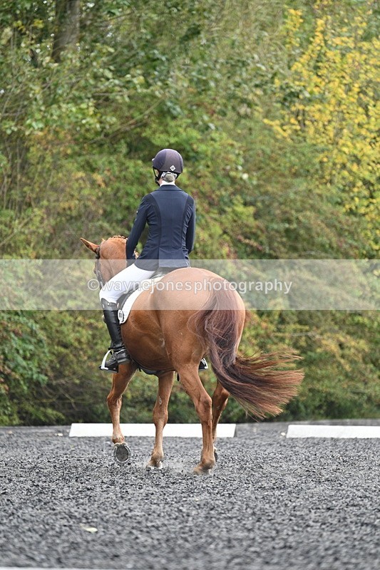 WJ7_6664 - Time 14:49 to 15:14