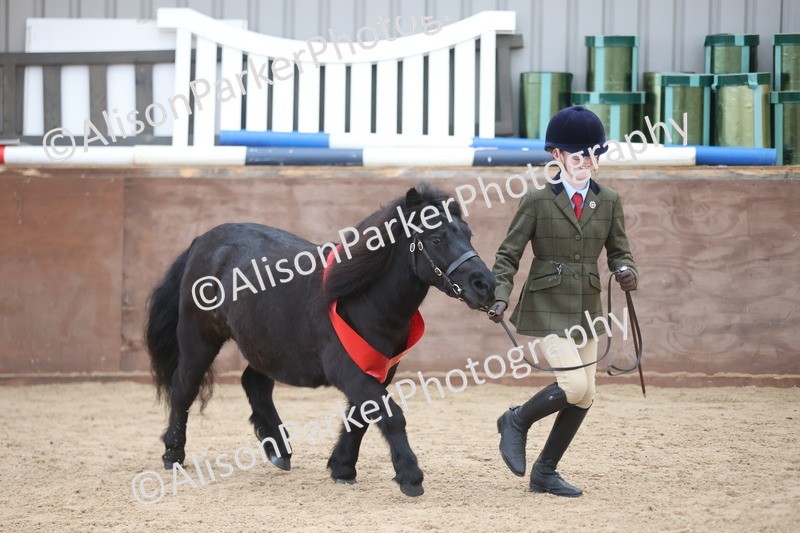 20251109-1206 - Young Handler Championship
