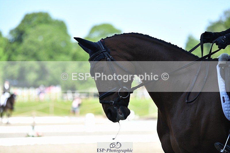 230525-091359-01559 - 303-JESMOND_RENARD-Susie_Berry-WEDTrotUp+DR