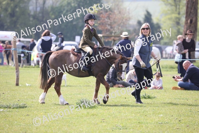 20260426-2523 - Class 31 - Leading Rein