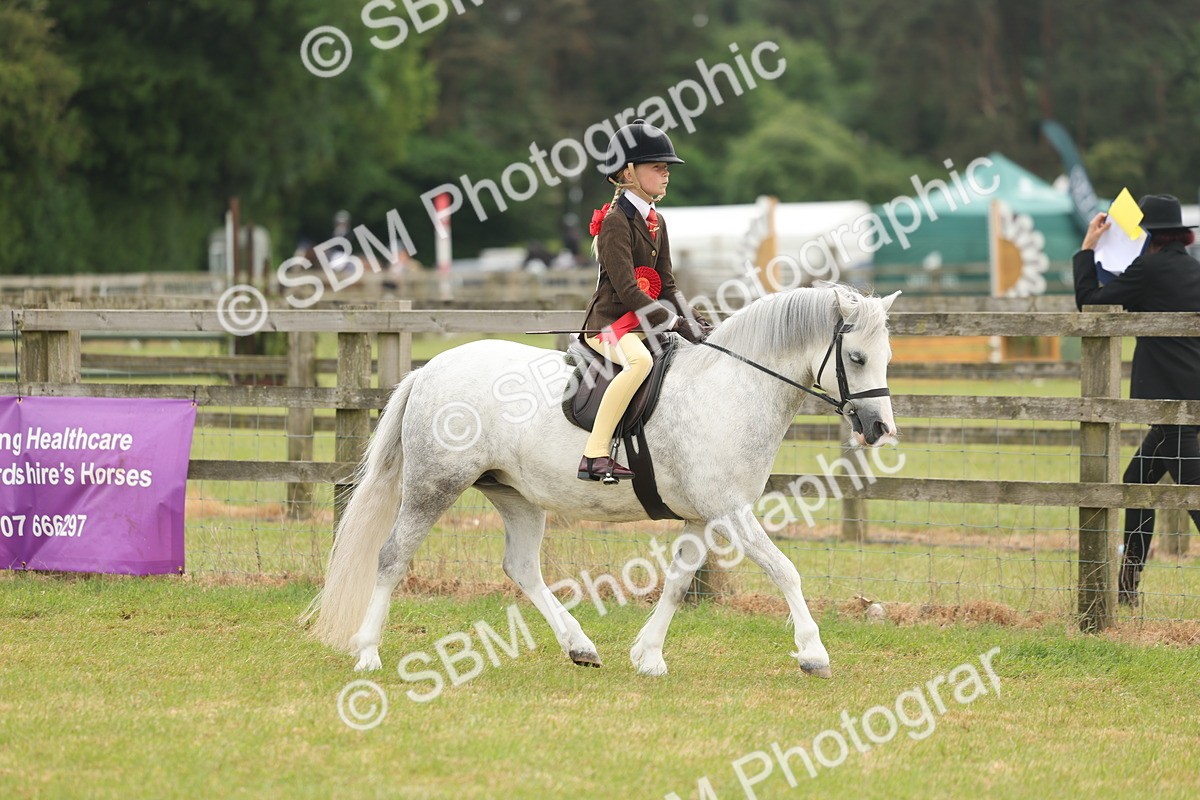 SBM_06916 - Class 74-75 - M&M Lead Rein and First Ridden Pony