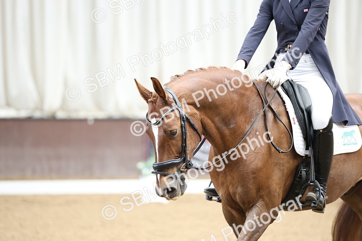 SBM_004361 - Class 9 - FEI Inter 1 Gold - 15.55-16.43