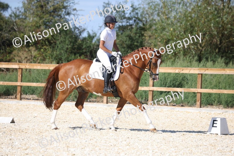 20260905-1547 - Class 5 - Novice 2