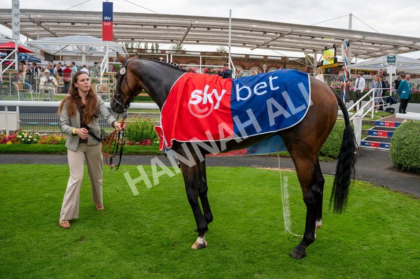 080925-Race 7-Canvas-4416 - Race 7 5.30pm Sky Bet, For The Fans Mile Apprentice Handicap