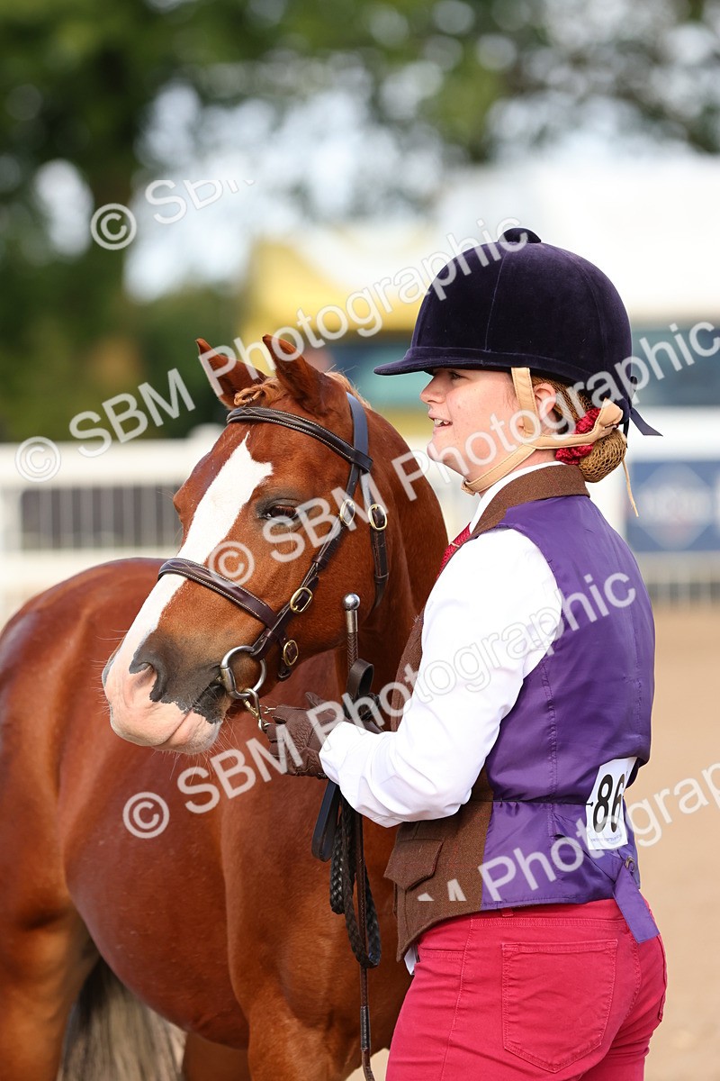 SBM_09238 - Class 204 - Young Handler