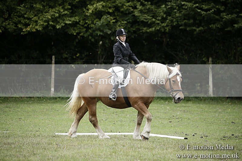 BVR080918 138 - BVRC Novice Dressage & CR 08/09/18