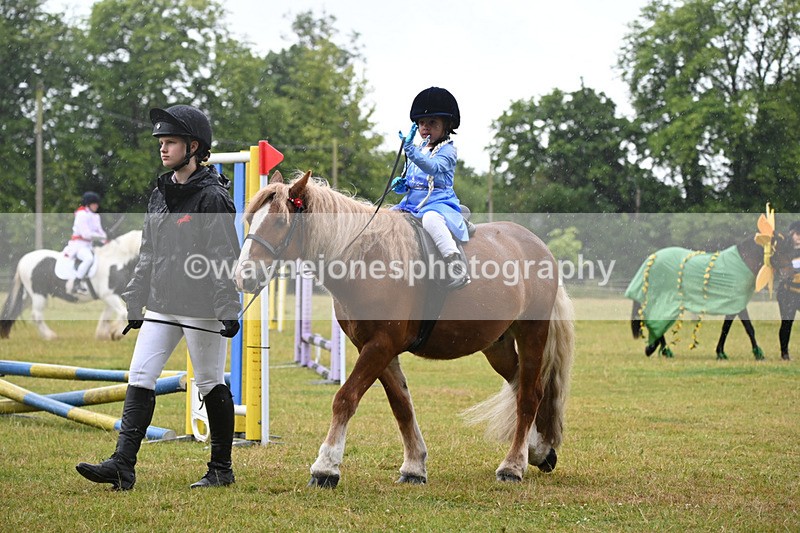 WJ6_9314 - Class 11 Fancy Dress