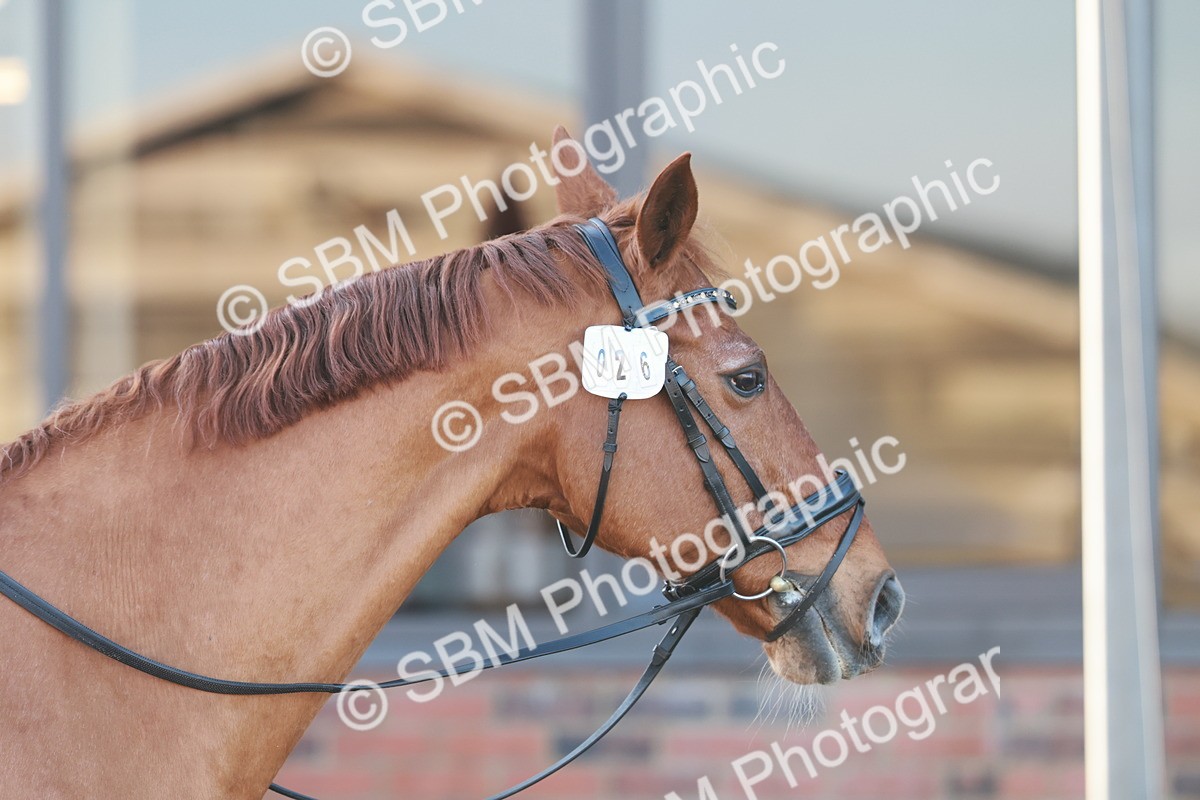 0B8A0919 - Class 2 - Intro 2