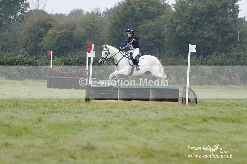 WWHT 171021 0541 - Novice Restricted (0.80m)  17/10/21