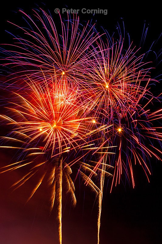 StokeParkFireworks-141105-045 - Recent photo's
