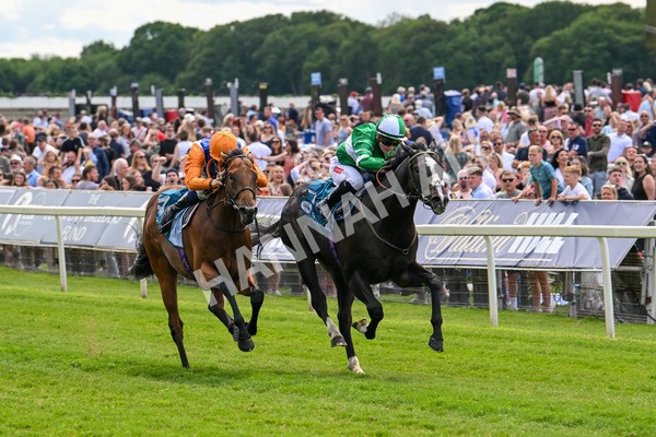 310525-Race 2-Tadej-8942 - Race 2 2.05pm Irish Thoroughbred Marketing EBF Restricted Novice Stakes