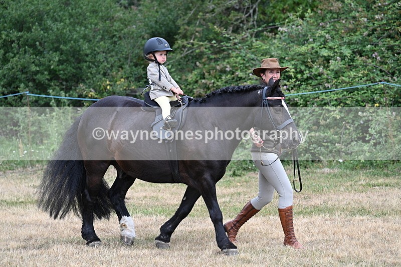 WJ7_9629 - Class 1 Lead Rein Pony