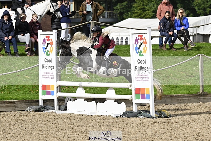 251005A-122212-03745 - Cls 08 Mini 70-75cm