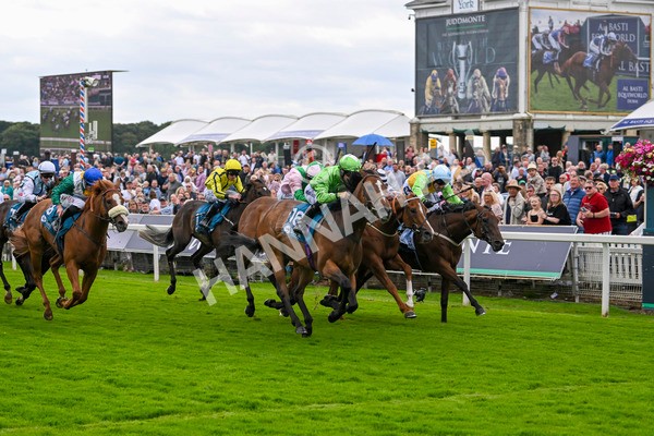210824-Race 1-Jm Jungle-4520 - Race 1 1.50pm Symphony Group Handicap