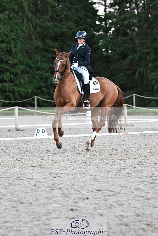 231110-164002-02717 - Cls 14 FEI Grand Prix