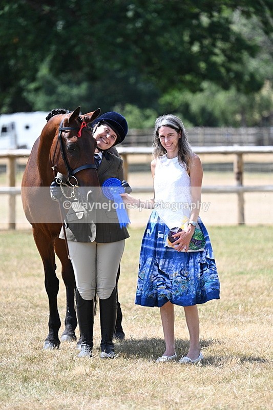 WJ7_2027 - Class 4a Prettiest Mare 14.2hh and over hand