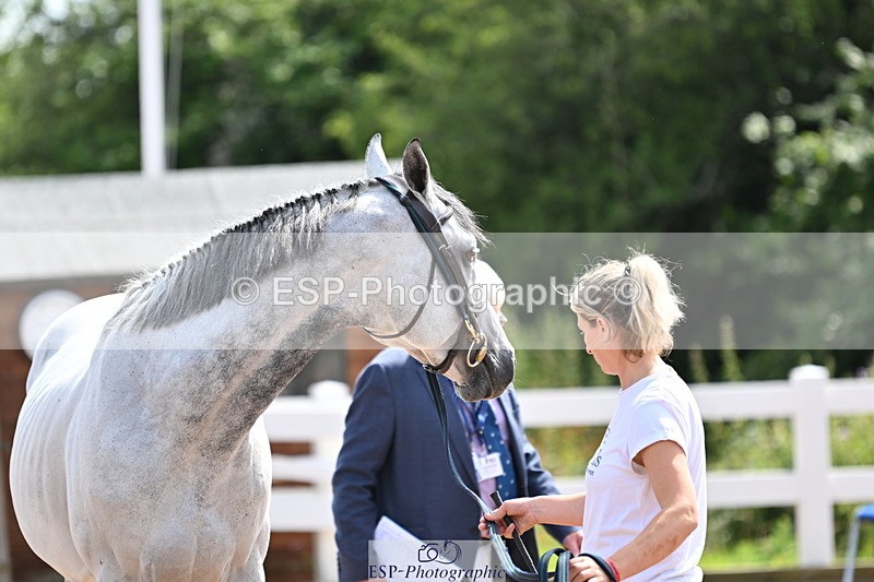 240717A-153052-02861 - Trot Up 3pm to 4pm