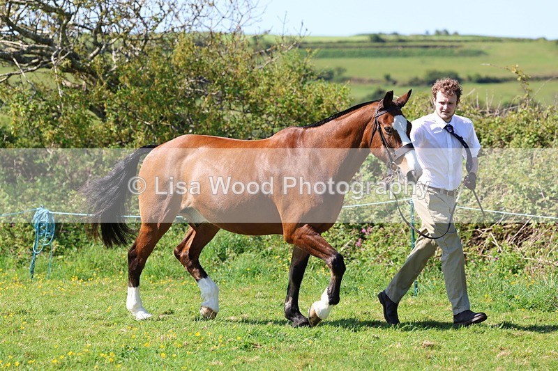 3E7A9412 - Class 16: Best Grass Kept