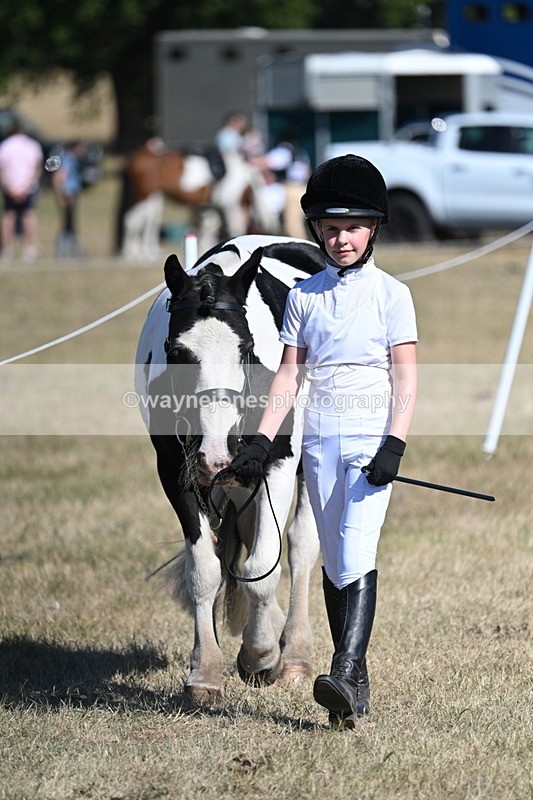WJ7_1788 - Class 43 Best Six Legs (In hand)