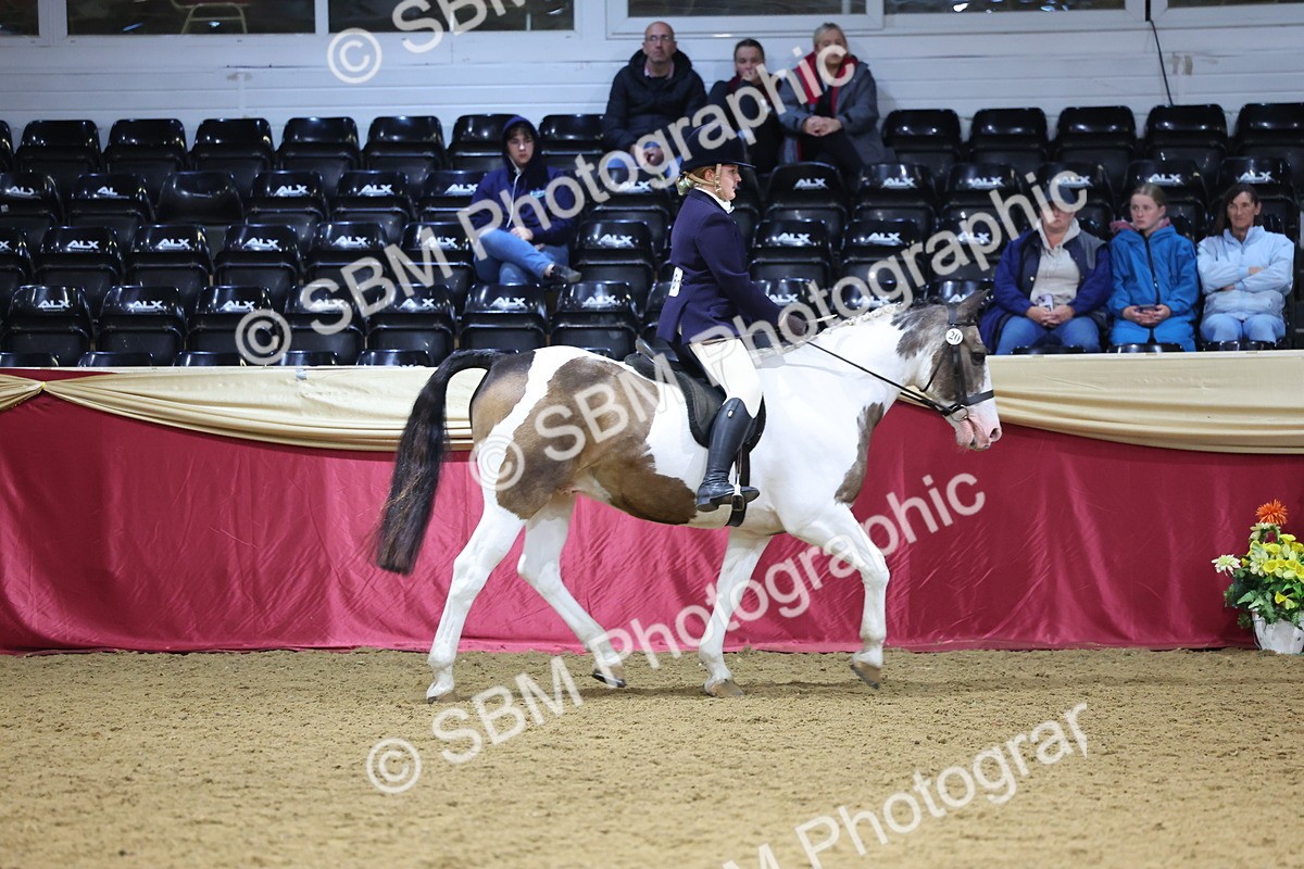 SBM_18552 - Class B Junior Champ 11-16 years