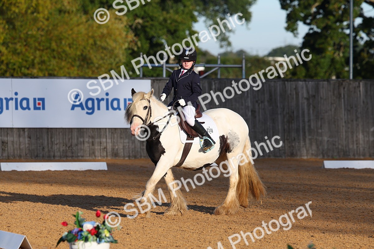 SBM_33422 - D26 - Test Starter Test 1