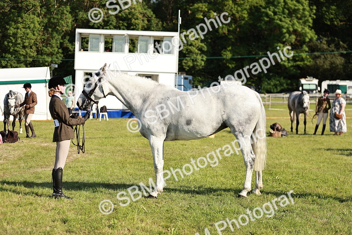 SBM_20027 - Class 115-116 - LIHS BSHA Rising Star Working Hunter & Show Horse