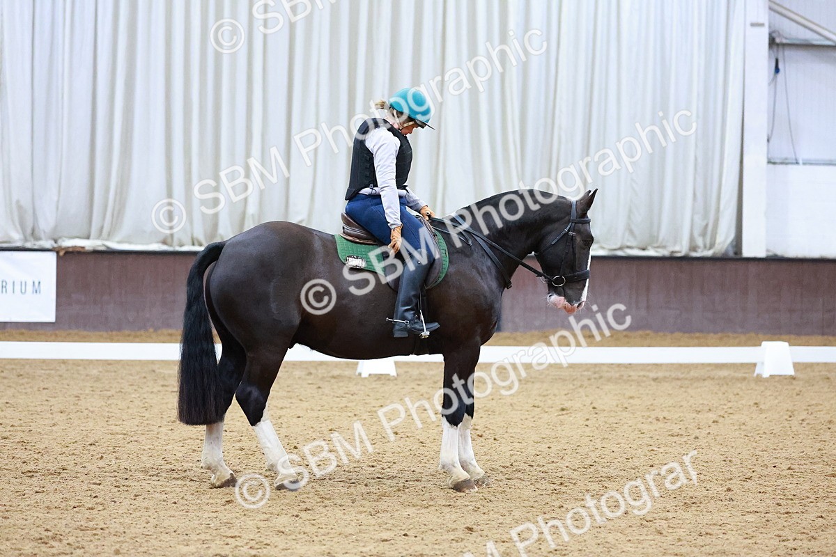 1I0A0925 - Class 3-6 - Prelim 1-Novice 2