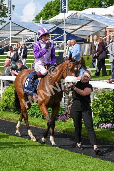 150524-Race 4-Secret Satire-4273 - Race 4 3.45pm Tattersalls Musidora Stakes