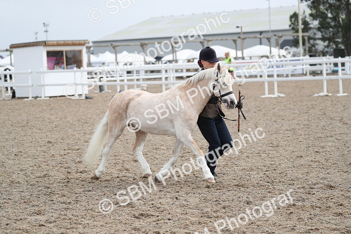 SBM_22552 - Class 604 - 2025 Area - IH Diamond