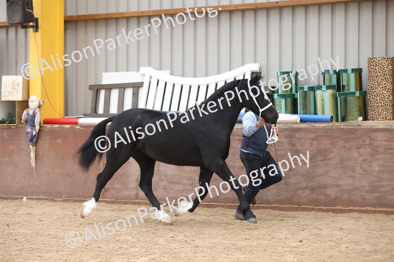 20251109-0909 - Class 26 - 2 and 4 Year Olds