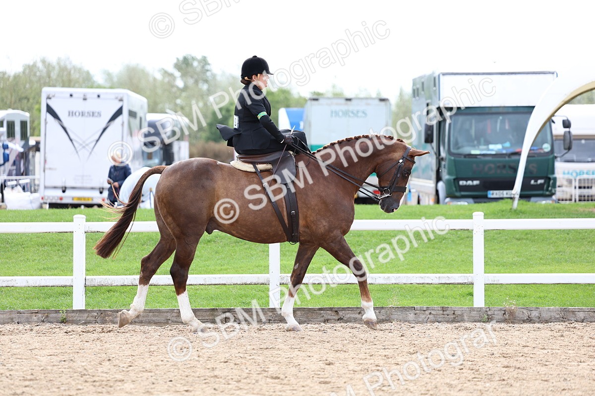 SBM_03380 - Class 24 - SSA Concours d'elegance (any age)