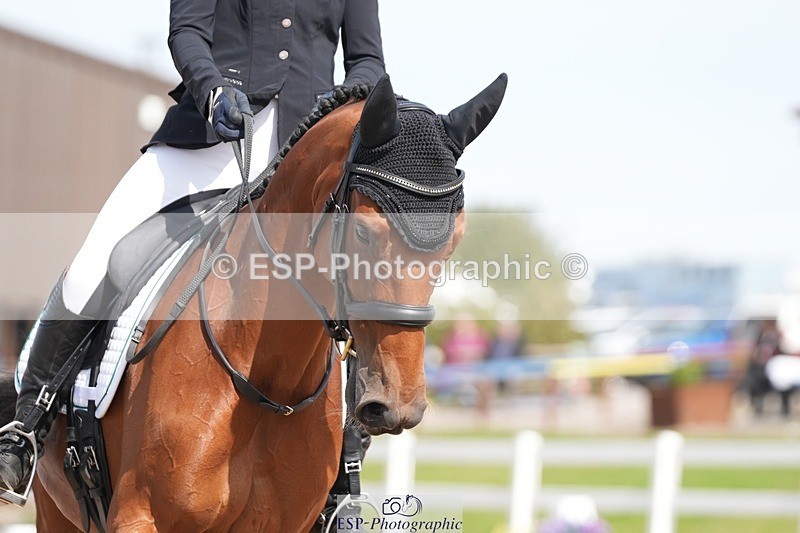 250906-133649-03665 - 066-Alice.KneenSpringtime.Marvel