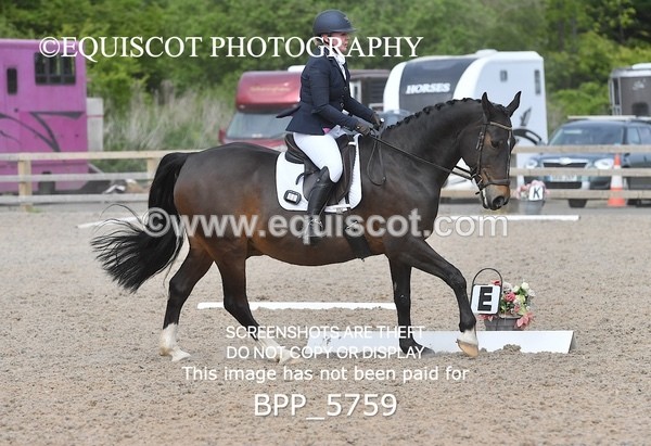 BPP_5759 - 25 V HAMILTON